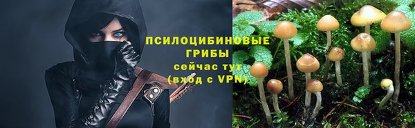 мдпв Каменка