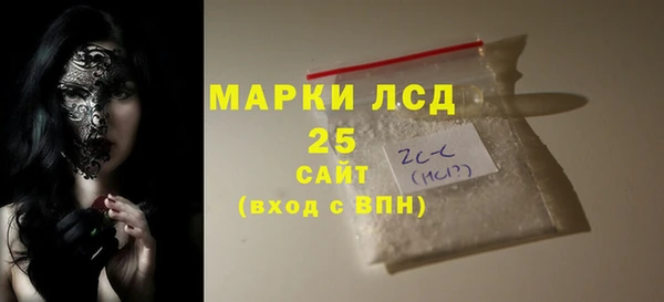 гидра Инсар