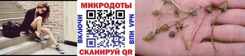 Псилоцибиновые грибы ЛСД  как найти закладки  Губкинский 