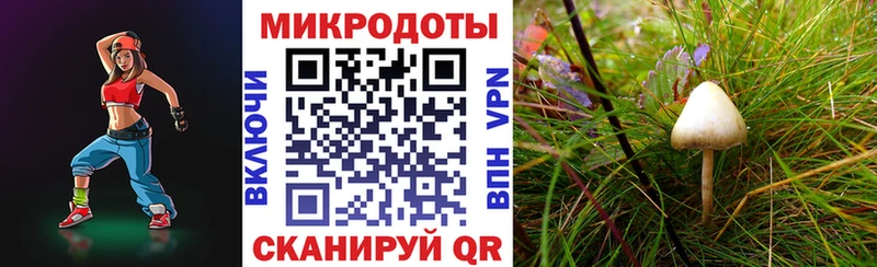 Галлюциногенные грибы MAGIC MUSHROOMS Губкинский