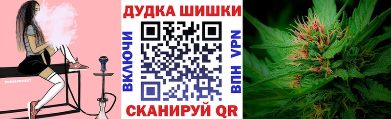 Канабис конопля  Губкинский 